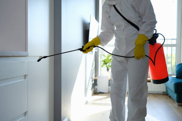 Crawl Space Mold Removal in King City, OR
